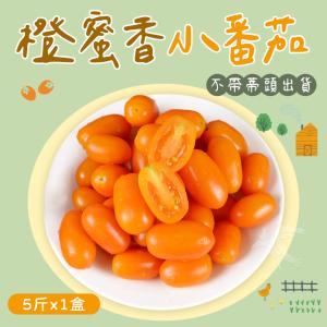 免運!【禾鴻】橙蜜香小番茄禮盒5斤x1盒(不帶蒂頭出貨) 5斤+-10%/盒 (6盒，每盒403.3元)