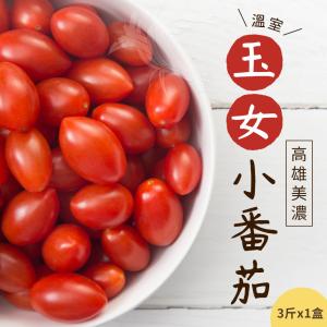 免運!【禾鴻】高雄美濃溫室玉女小番茄3斤x1盒 3斤/箱 (4盒，每盒376元)