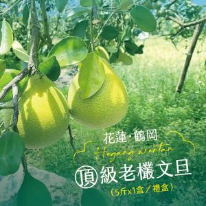 【杰市優果】50年花蓮鶴岡嚴選頂級老欉文旦5斤禮盒(6-8粒/盒)