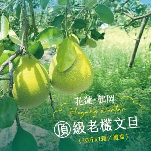 【杰市優果】50年花蓮鶴岡精選頂級老欉文旦10斤禮盒(10-15粒/箱)