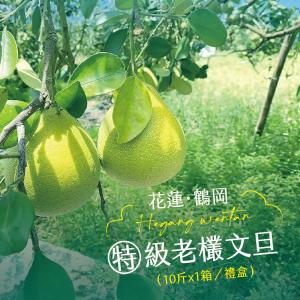 【杰市優果】50年花蓮鶴岡精選特級老欉文旦10斤禮盒(16-20粒/箱)