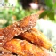 漢方芒果干 ~益生堂獨家蜜炙工法，全台灣獨創特調藥香，蜂蜜蜜炙+冰糖，熱銷排行第3名