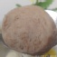 黑豬肉貢丸(原味貢丸)
