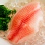 台灣鯛魚片(急速冷凍)