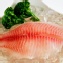 台灣鯛魚片(急速冷凍)