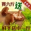 黑早鮮冬菇(中) 600g