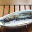 戀秋刀- 遠洋頂級特大號 日式薄鹽秋刀魚