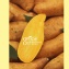 產銷履歷-雲林水林台農57號生鮮焦糖黃金薯