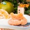 漢方小橘子 ～2015新品橘子肉 臺灣種植珍貴橘子果肉 漢方益生堂酸甜滋味繚繞