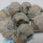 蚵仔寮手工虱目魚丸(九層塔)