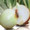 台灣本土無毒鮮甜洋葱
