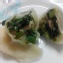 韭菜雞肉水餃試吃特價