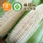 北海道水果牛奶玉米(福利品)