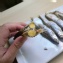 【愛呷魚】加拿大進口爆卵柳葉魚