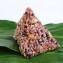 【新竹內灣鵝姐】養生三色米野薑花粽(葷) 20顆
