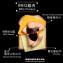 【熱樂煎】BBQ雞肉乳酪爆漿三明治