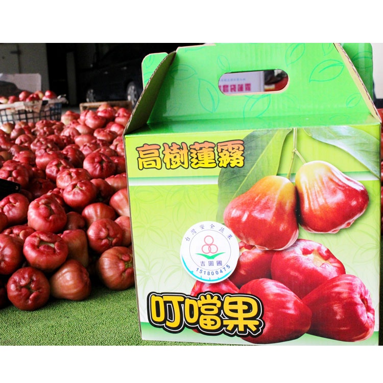 高樹叮噹果~頂級蓮霧~甜度14度以上(3斤裝)