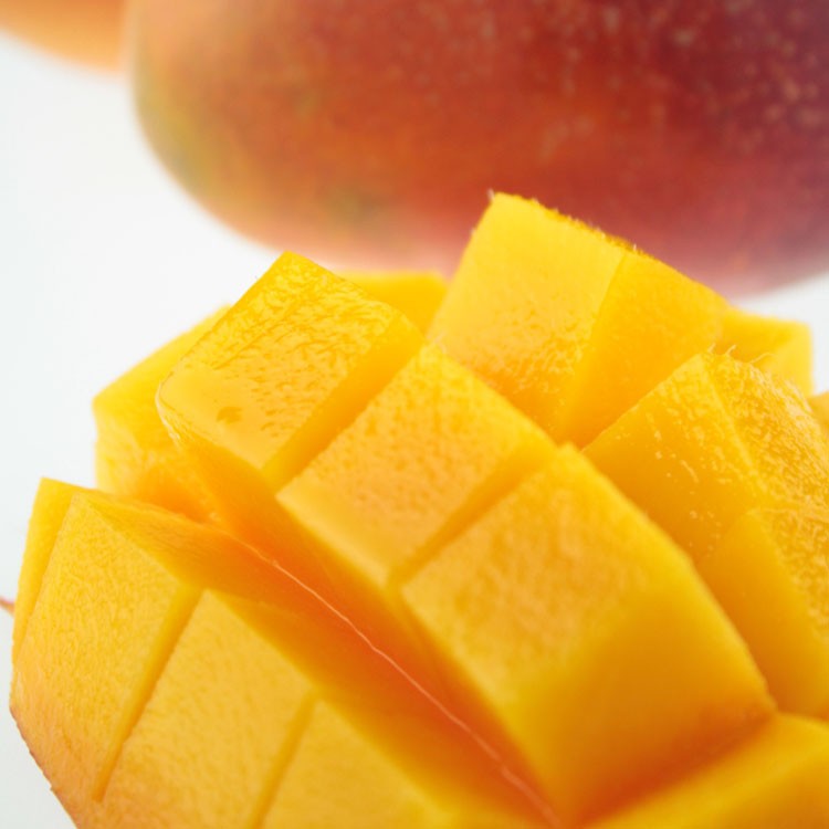 【嚴選枋山盧家】愛文芒果8-10顆裝 2.5kg/盒