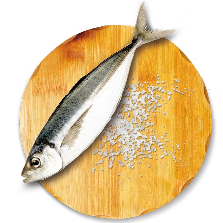 【魚之達人】頂級竹莢魚一夜干