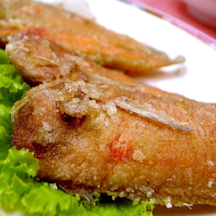 【凍凍鮮】紅新娘魚