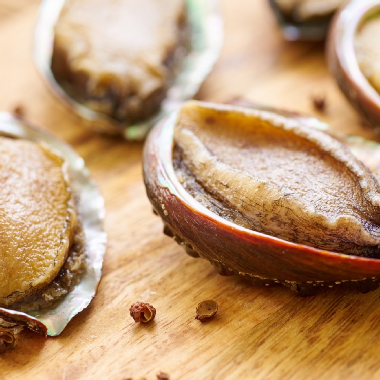 凍凍鮮 極鮮帶殼鮑魚 8顆入 包 Ihergo愛合購