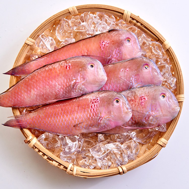 【凍凍鮮】澎湖野生紅新娘魚 200g