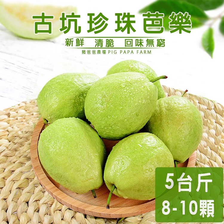 【豬爸爸農場】雲林古坑珍珠芭樂