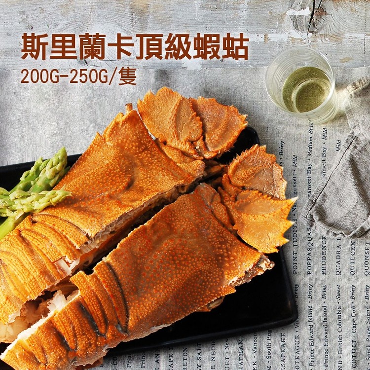 【築地一番鮮】斯里蘭卡頂級蝦蛄