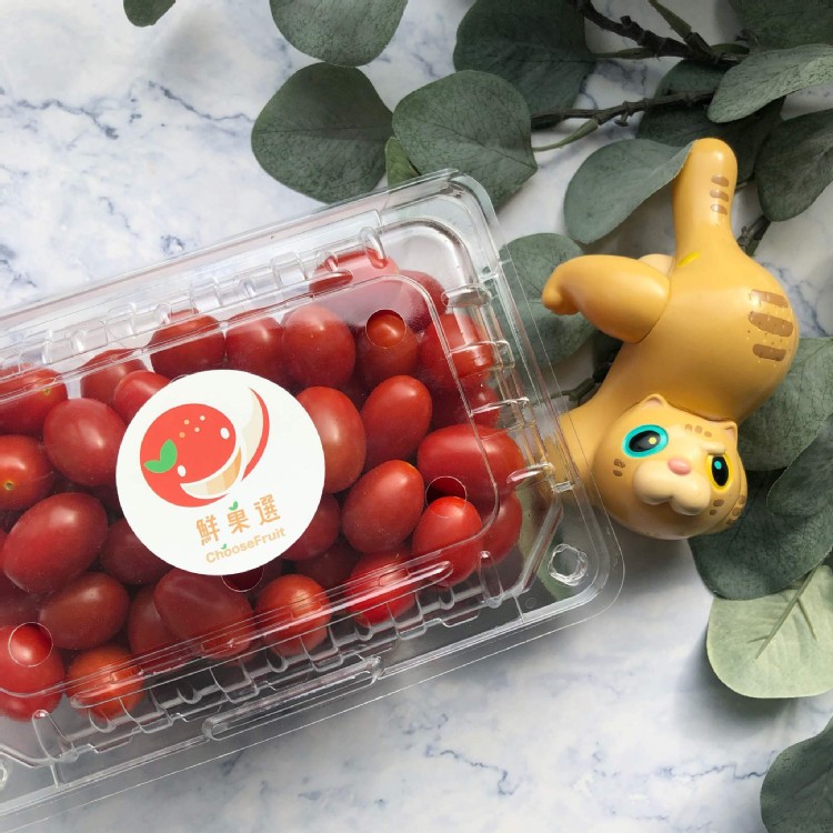 【鮮菓選】溫室無毒玉女番茄