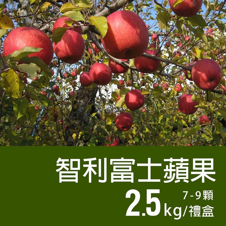 【築地一番鮮】特大智利富士蘋果(2.5KG/禮盒/7-9顆)
