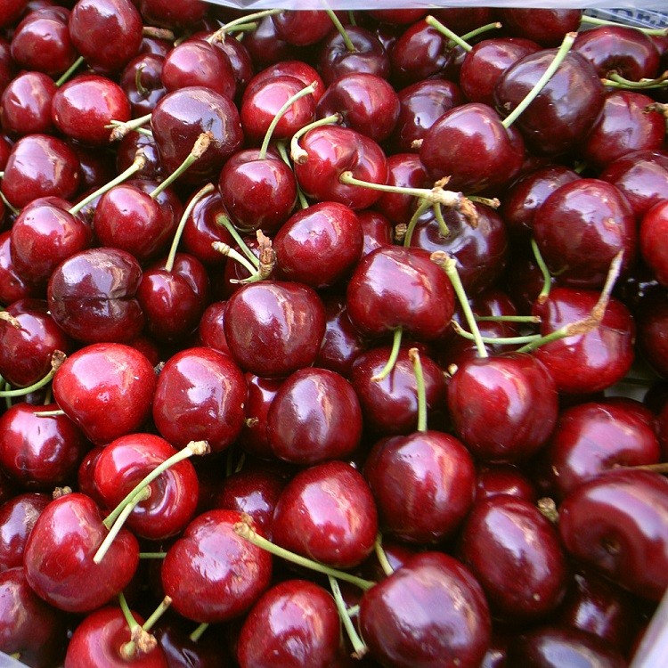 C1047【築地一番鮮】9.5ROW盛夏華盛頓西北櫻桃