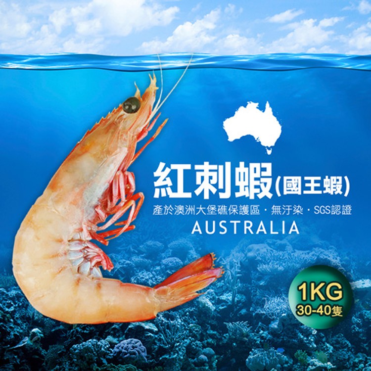 【築地一番鮮】澳洲大堡礁野生國王蝦1包(1KG±10%/包/30-40隻)-免稅