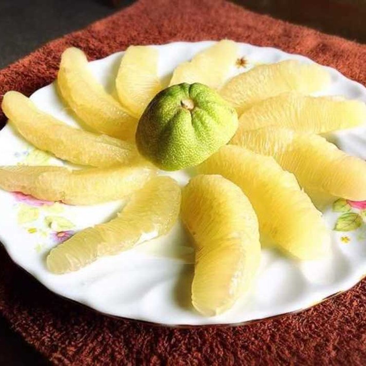 買一送一【台南麻豆老欉文旦】40年老欉頂級文旦禮盒(10台斤/盒)