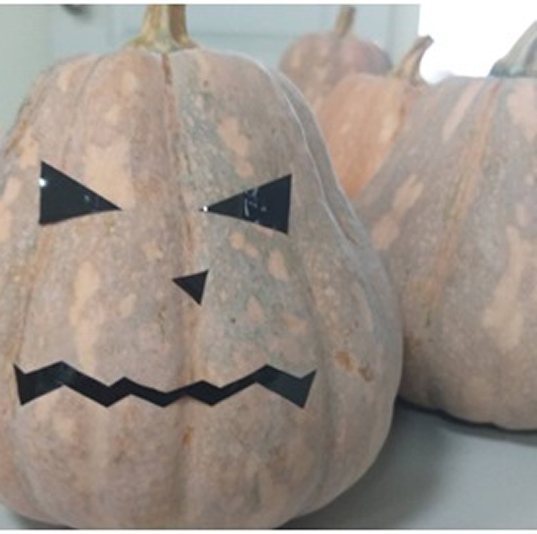 【纖沺大山元農場】不倒翁南瓜(祥菇南瓜)