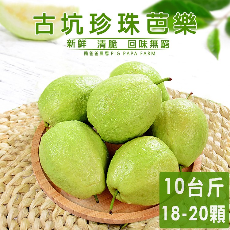 【豬爸爸農場】雲林古坑珍珠芭樂