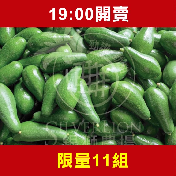 【限量整點搶購】【銀獅農莊】酪梨