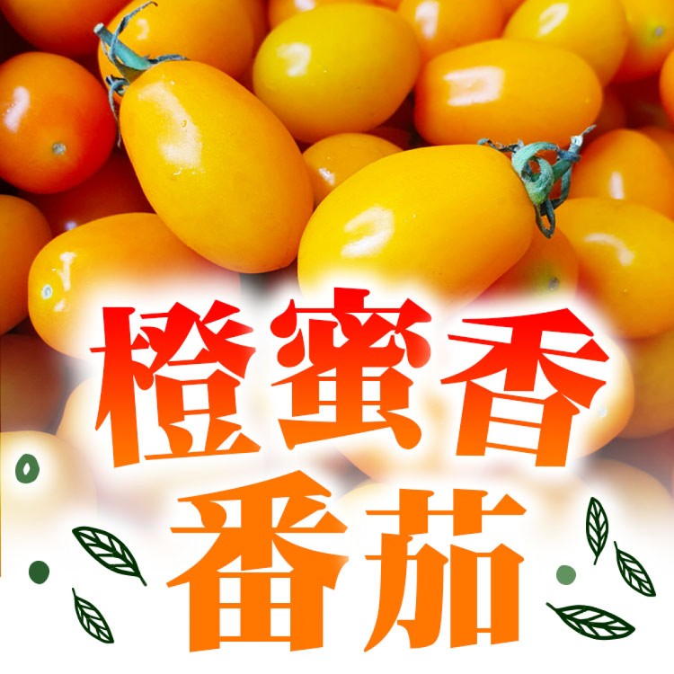 【小農鮮果】高雄美濃 橙蜜香小番茄3斤裝