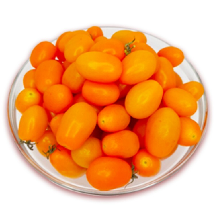 【小農鮮果】高雄美濃 橙蜜香小番茄3斤裝