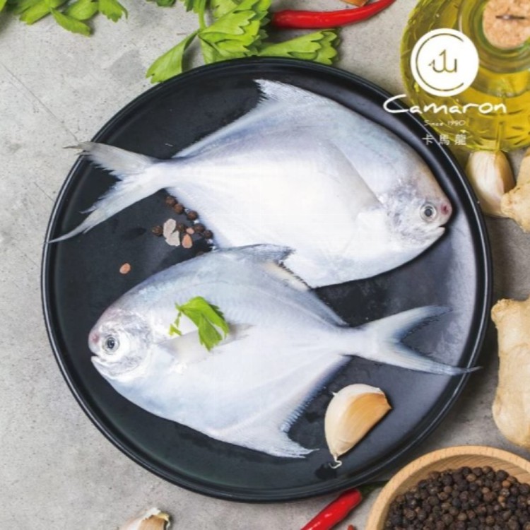 【卡馬龍嚴選】印度洋野生正白鯧