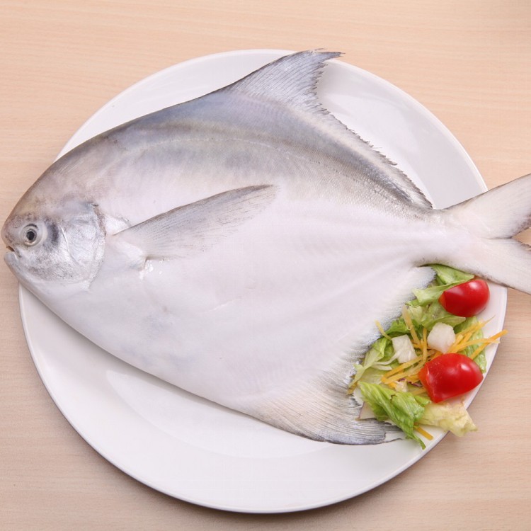 【卡馬龍嚴選】印度洋野生正白鯧