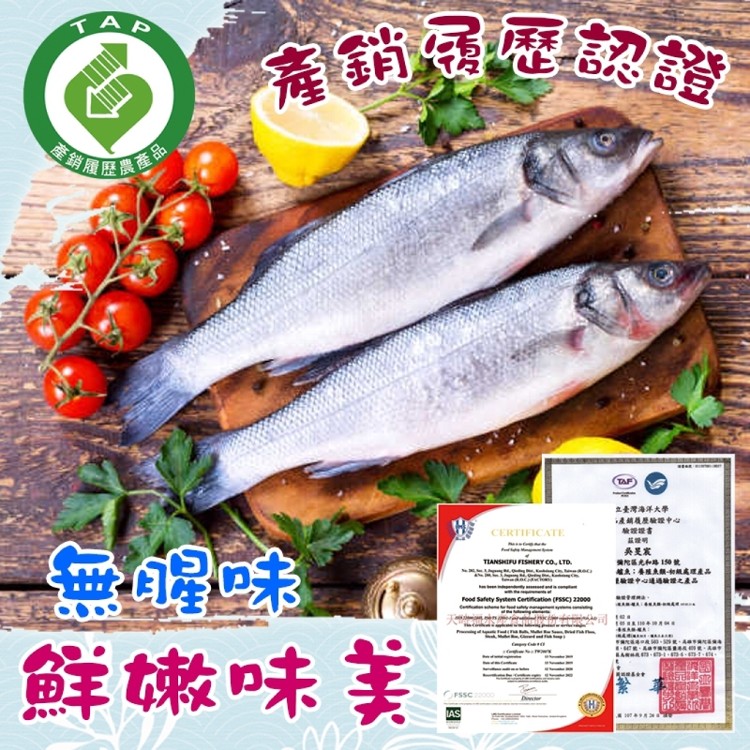 免運!【歐嘉嚴選】XL去刺金目鱸魚菲力 200~300g/片 (40片,每片111.9元)