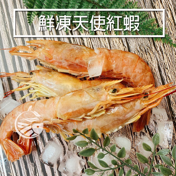 【歐嘉嚴選】阿根廷巨無霸天使紅蝦