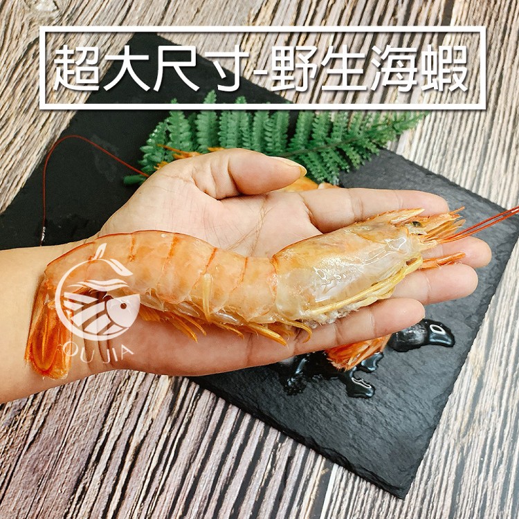 【歐嘉嚴選】阿根廷巨無霸天使紅蝦
