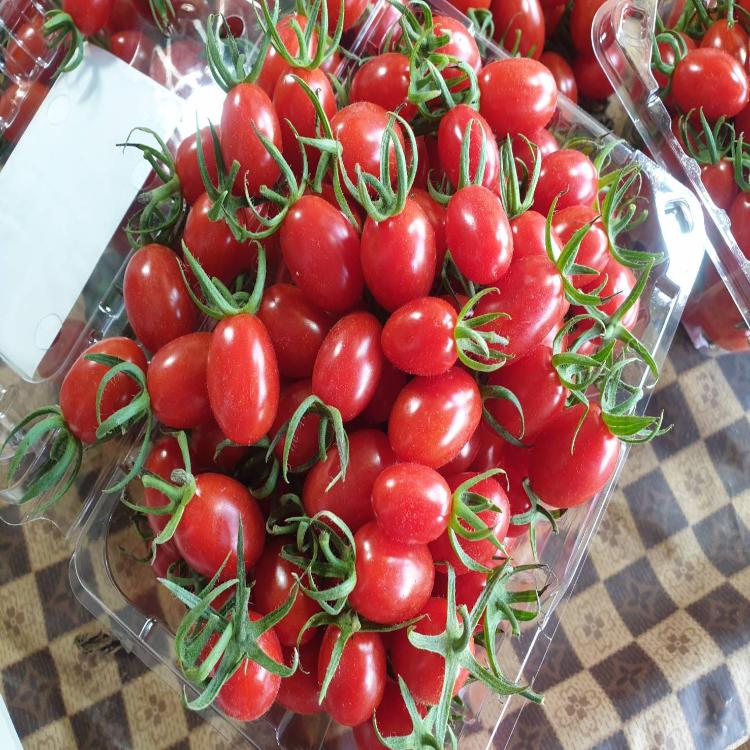 [滿額禮] 單筆訂單份數滿19盒，送迷您版牛奶小番茄1盒