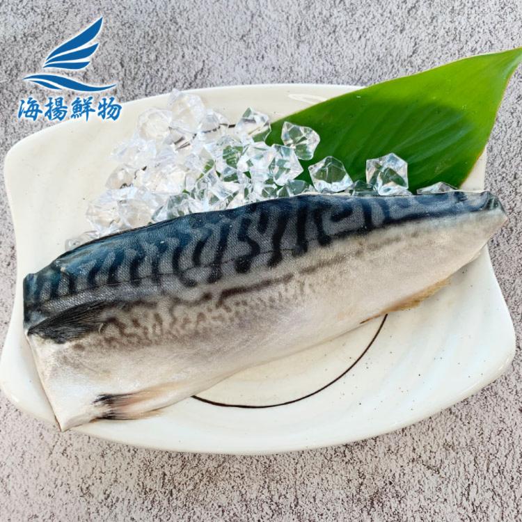 【海揚鮮物】北大西洋頂級鯖魚片