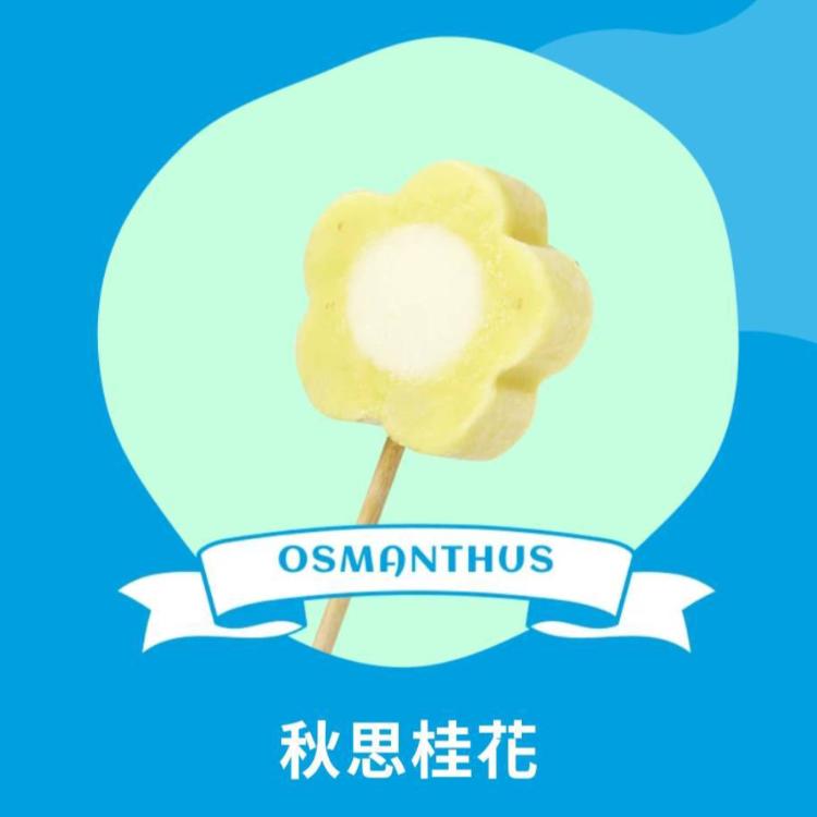 【梅花の冰】秋思桂花