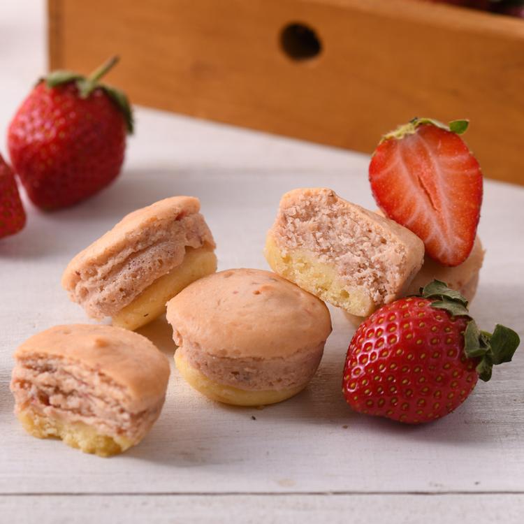 季節限定【杏芳食品】草莓乳酪球禮盒12入