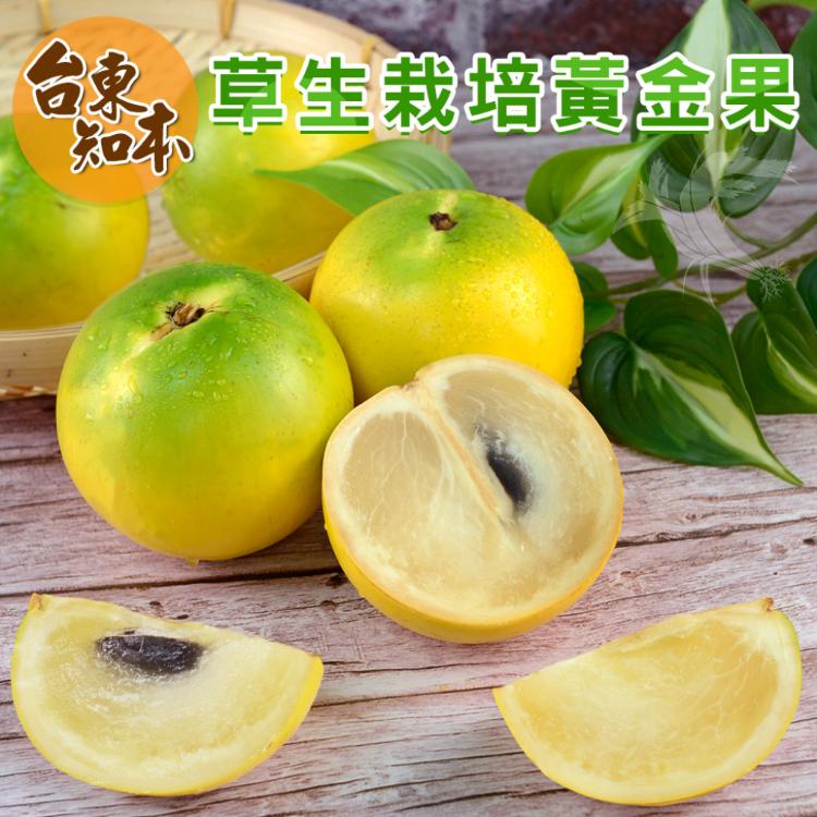 【台東知本】黃金果