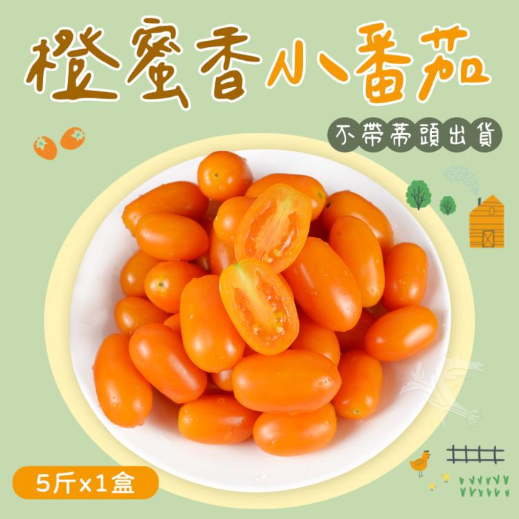 免運!【禾鴻】橙蜜香小番茄禮盒5斤x1盒(不帶蒂頭出貨)  5斤+-10%/盒