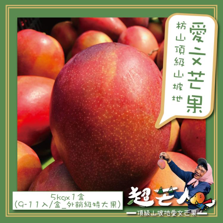 【超芒人農場】屏東枋山頂級山坡愛文芒果禮盒5kgx1盒(9-11入/盒_外銷級特大果)